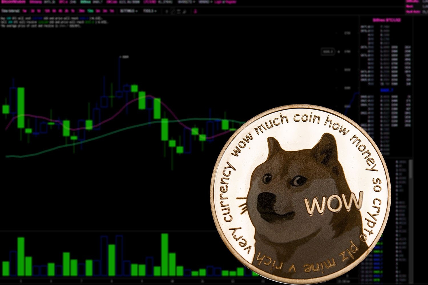 Dogecoin Whales Scoop 110M DOGE: Is $0.30 Next?
